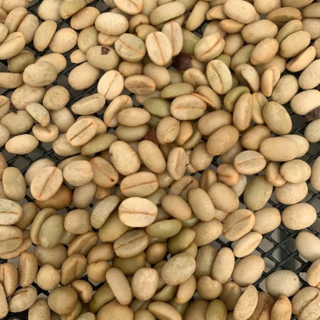 Photo of Geisha Washed Las Margaritas
