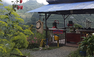 Café de Finca Colombia 100% Natural - Cafés Guilis